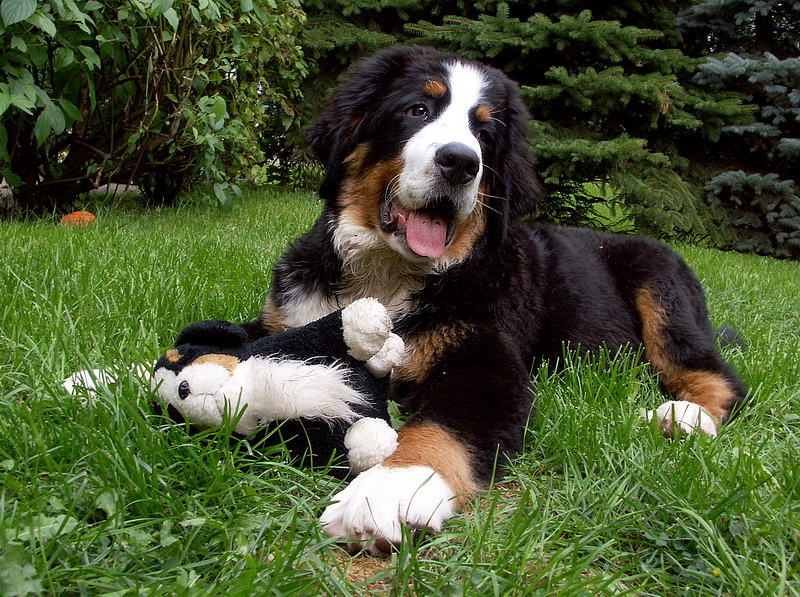 Anton PICT1046 (12)_Bildgröße ändern.jpg - Lebensfreude pur.